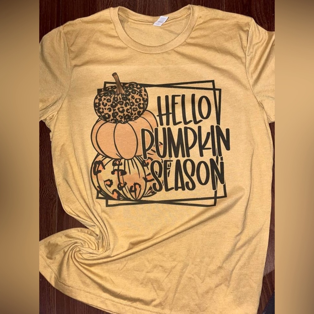 NWOT Bella Canvas Hello Pumpkin Season T-shirt